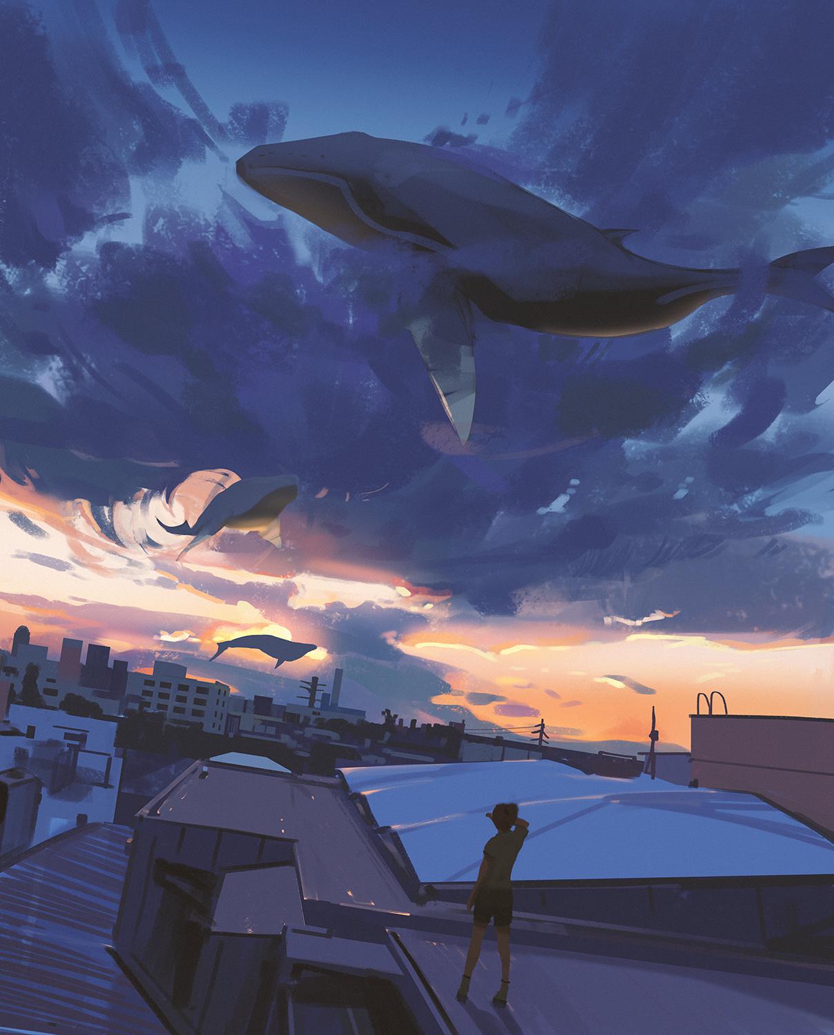 Sky whales插画图片壁纸