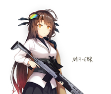 M14EBR-M14500users入り