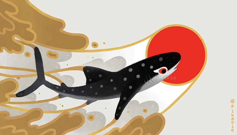 鲸鲨插画图片壁纸