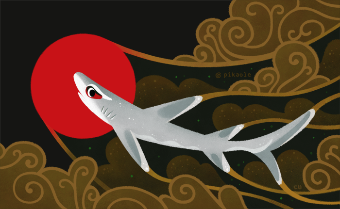 鲸鲨插画图片壁纸