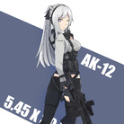 AK-12 [2]