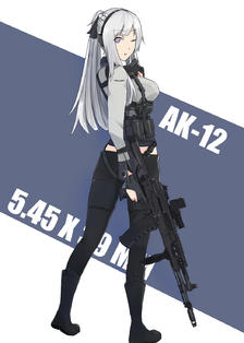 AK-12 [2]插画图片壁纸