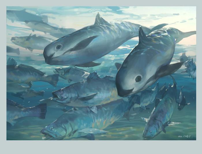加湾石首鱼&小头鼠海豚插画图片壁纸