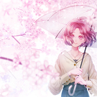 樱花雨和少女