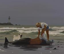 Washed ashore-风景illustration