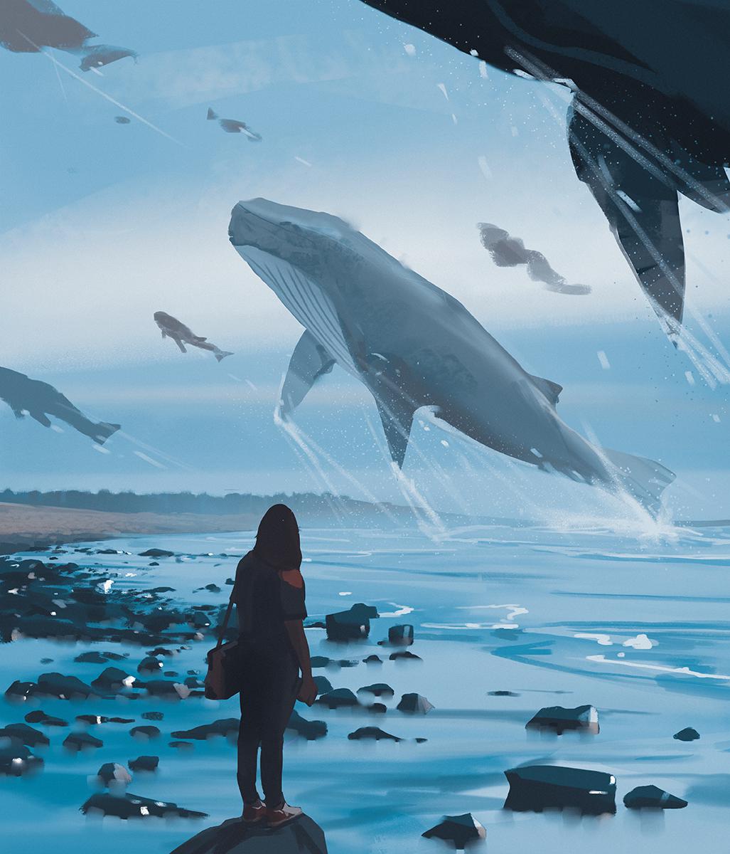 whale migration插画图片壁纸