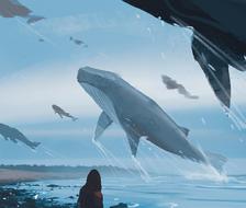 whale migration-风景背景