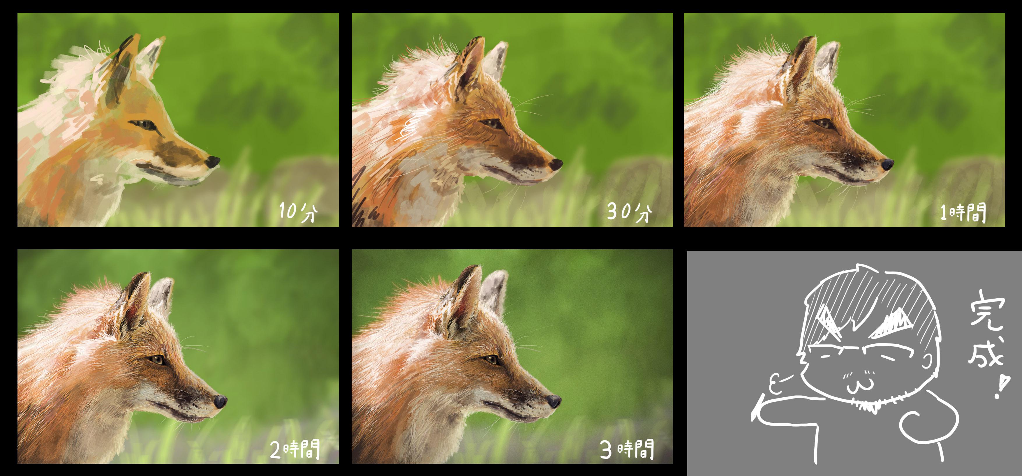 狐狸三小时插画图片壁纸