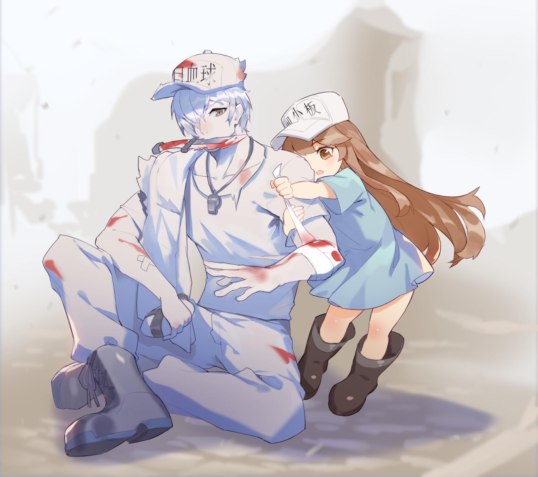 白血球止血工作细胞横图