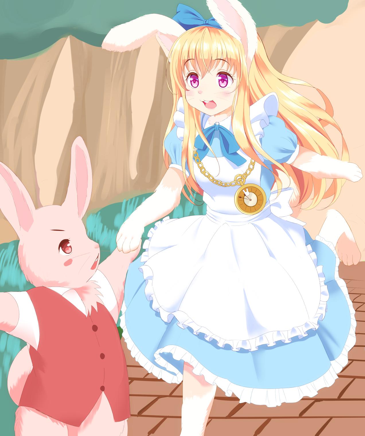 兔子国的爱丽丝插画图片壁纸