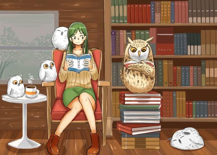 书，猫头鹰和女孩插画图片壁纸