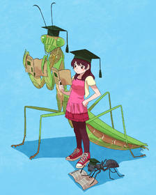 昆虫大学插画图片壁纸