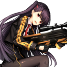 WA2000