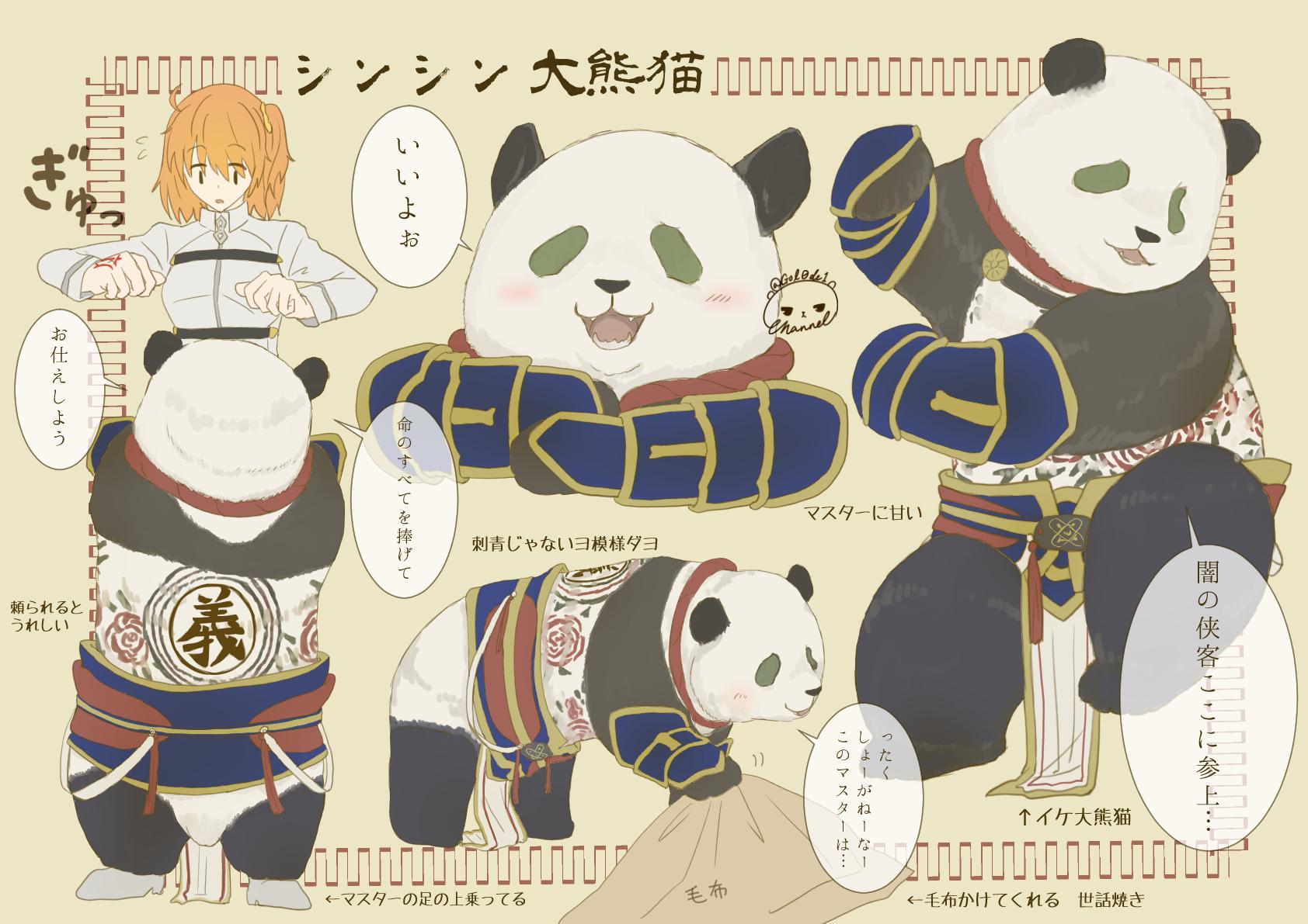 新宠大猫(熊猫)插画图片壁纸