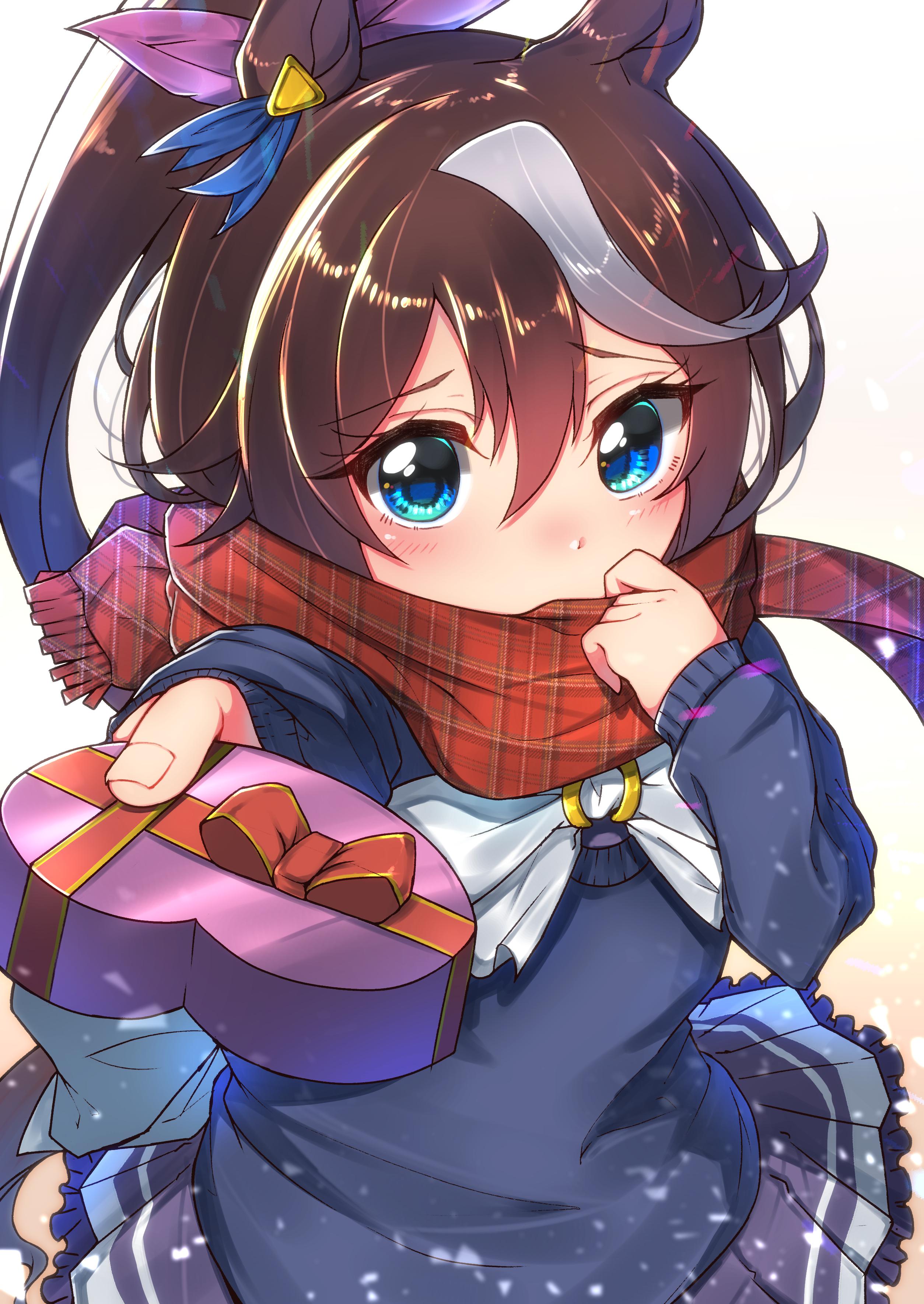 芦毛怪马娘赛马娘