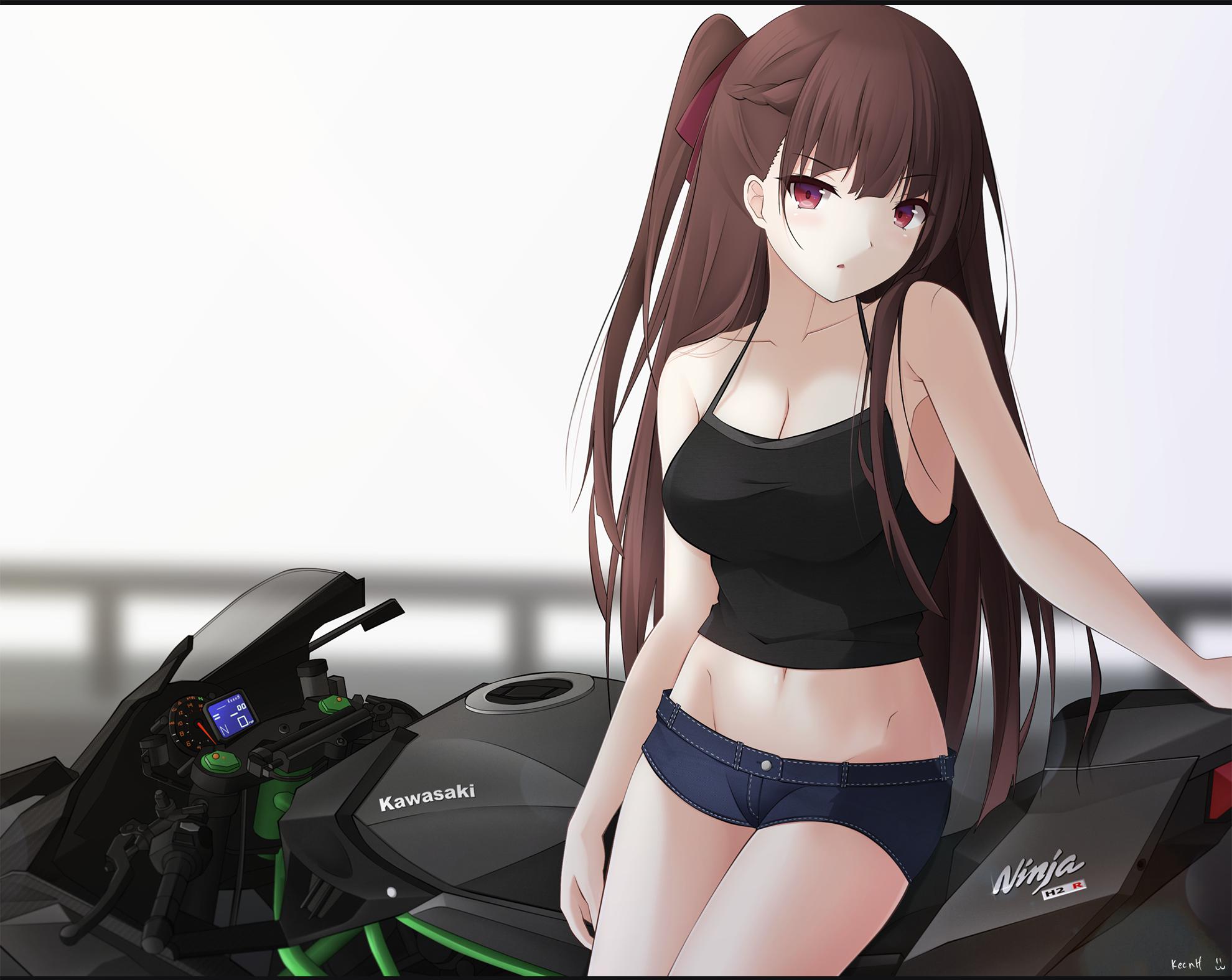 WA2000 - Ninja H2 R