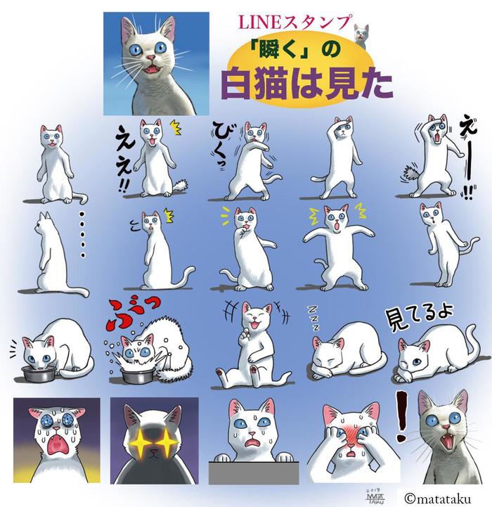 【LINE印章】“眨眼”的白猫看到了插画图片壁纸