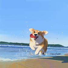 Corgi Beach Day插画图片壁纸