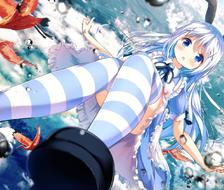 Chino in Wonderland