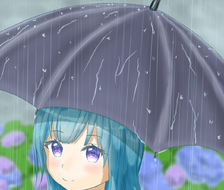 拉斐尔-梅雨雨