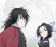 Giyu X Shinobu-鬼灭之刃kimetsu_no_yaiba