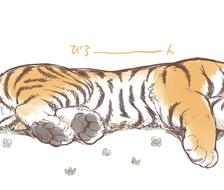 虎先生午睡-虎动物