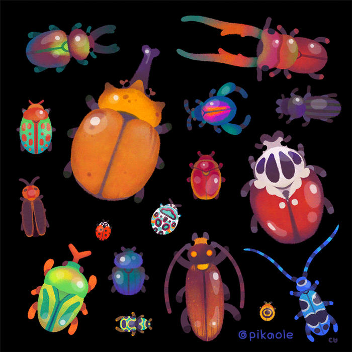 甲虫插画图片壁纸