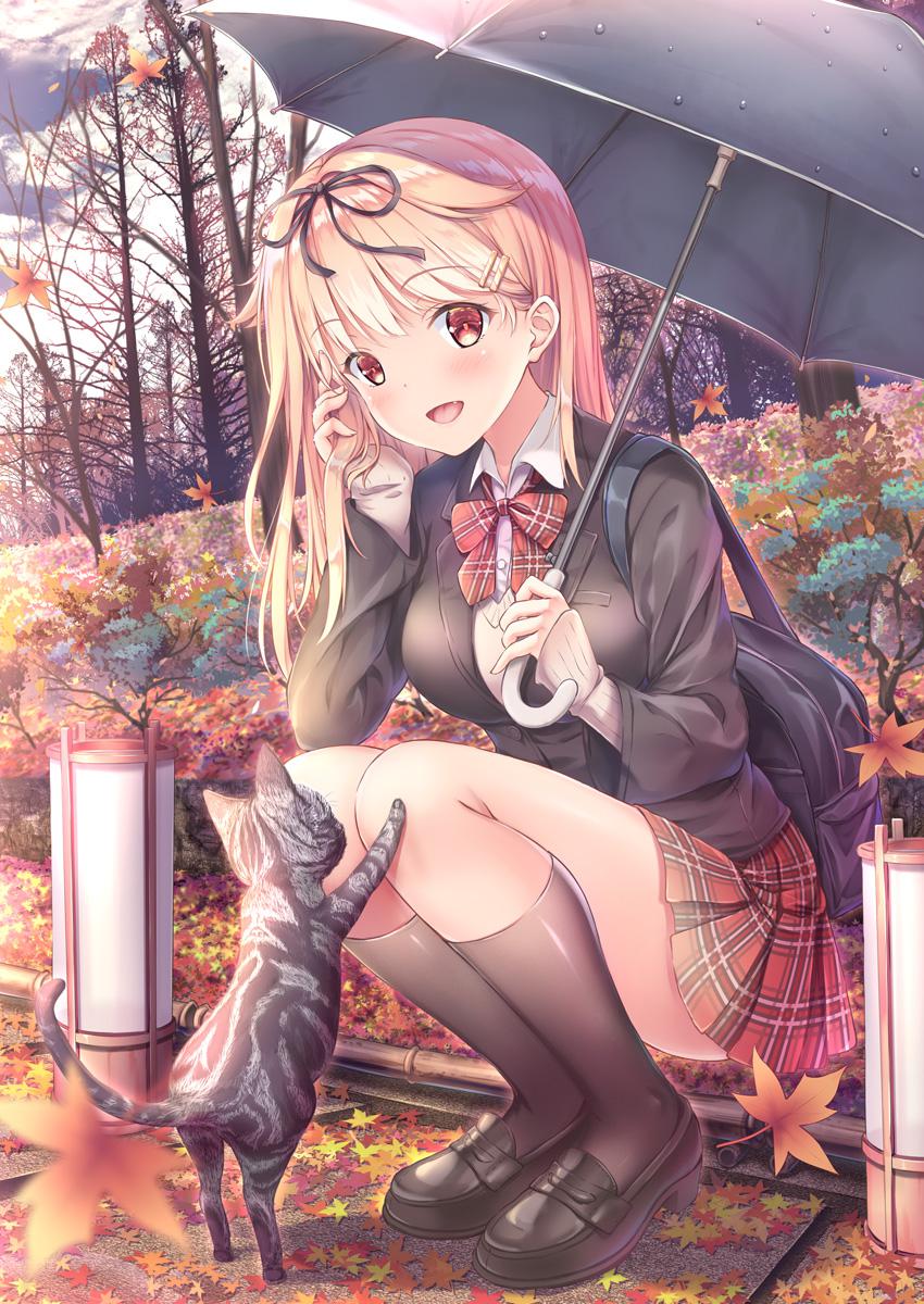 四散前后舰队collection时雨