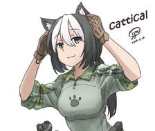 cat-tical-枪支現代個人装具