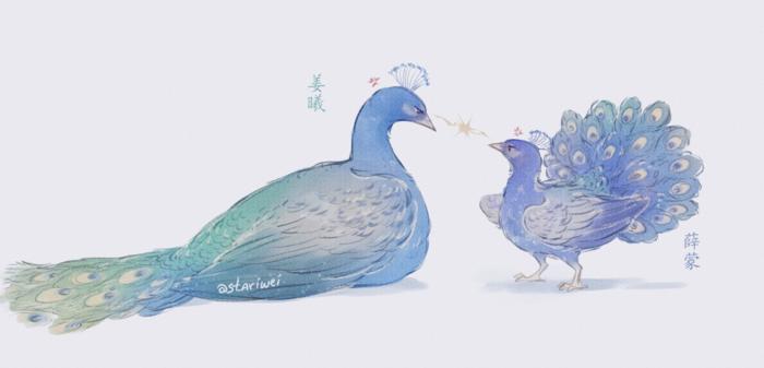 姜曦 & 薛蒙插画图片壁纸