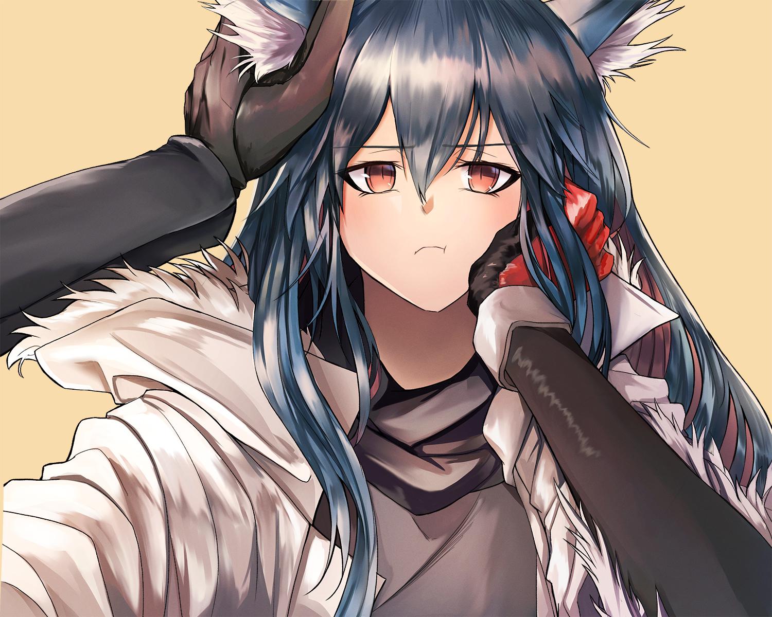 texas明日方舟横图