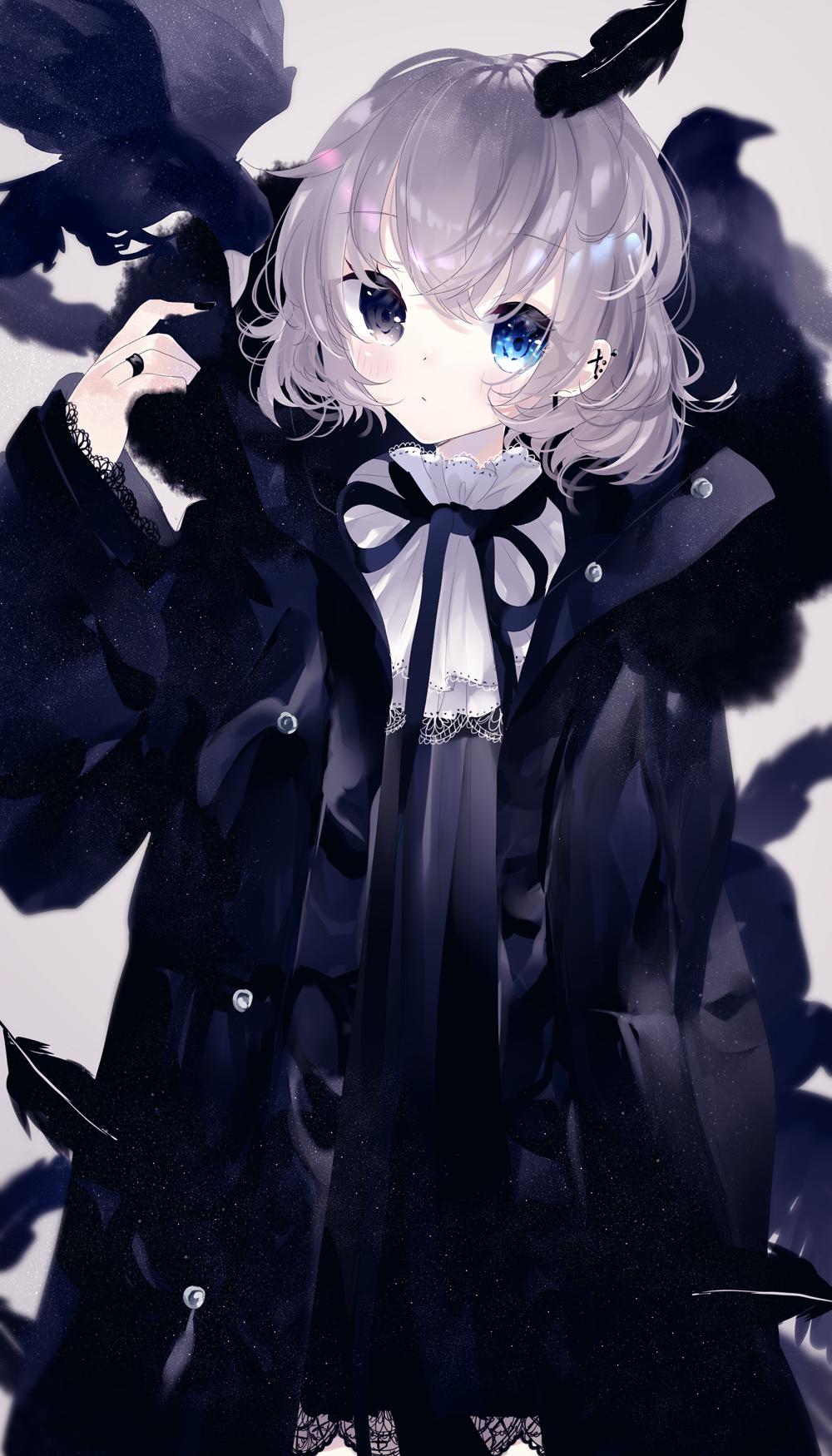冬毛乌鸦插画图片壁纸