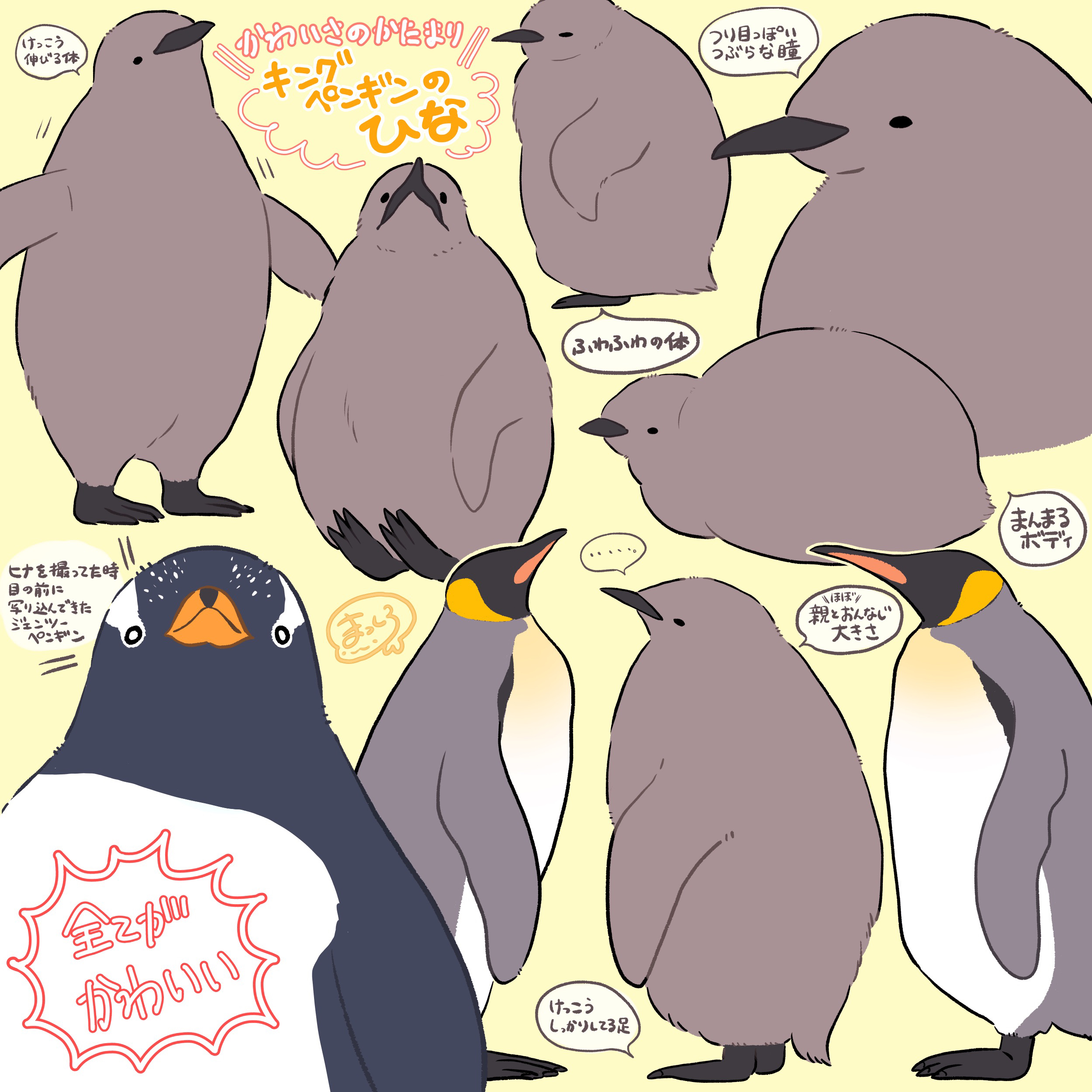 国王企鹅的雏鸟插画图片壁纸