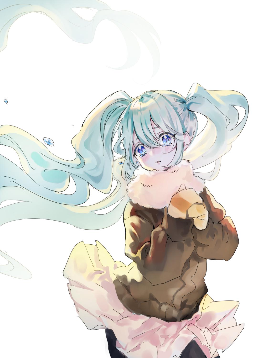 冬vocaloid初音未来