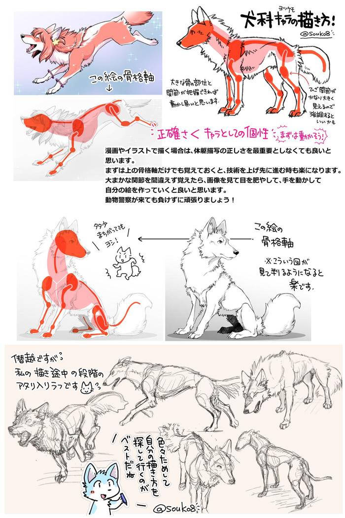 横滨犬科角色的画法插画图片壁纸