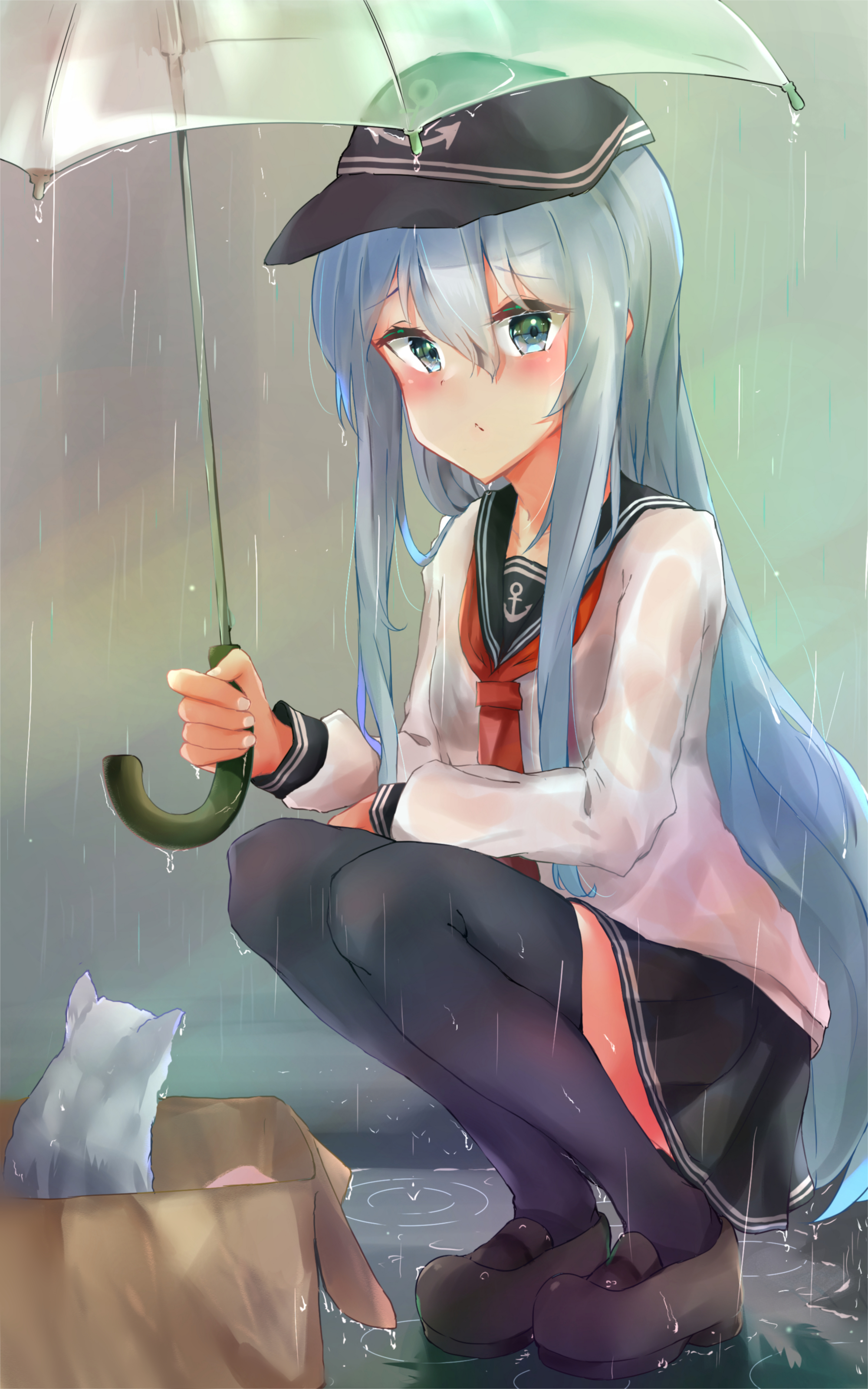 雨声与弃猫-响雨