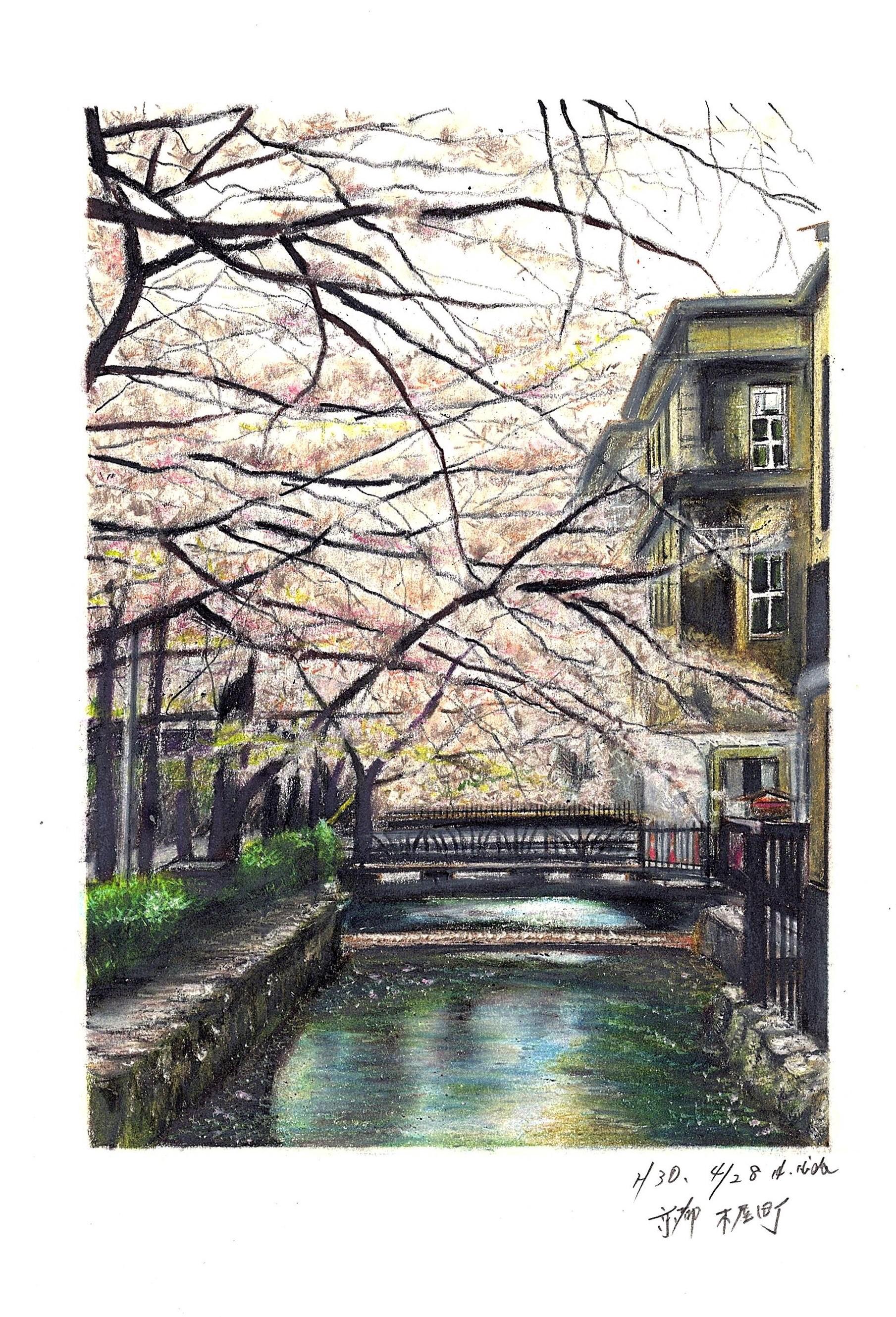 京都木屋町的樱花插画图片壁纸