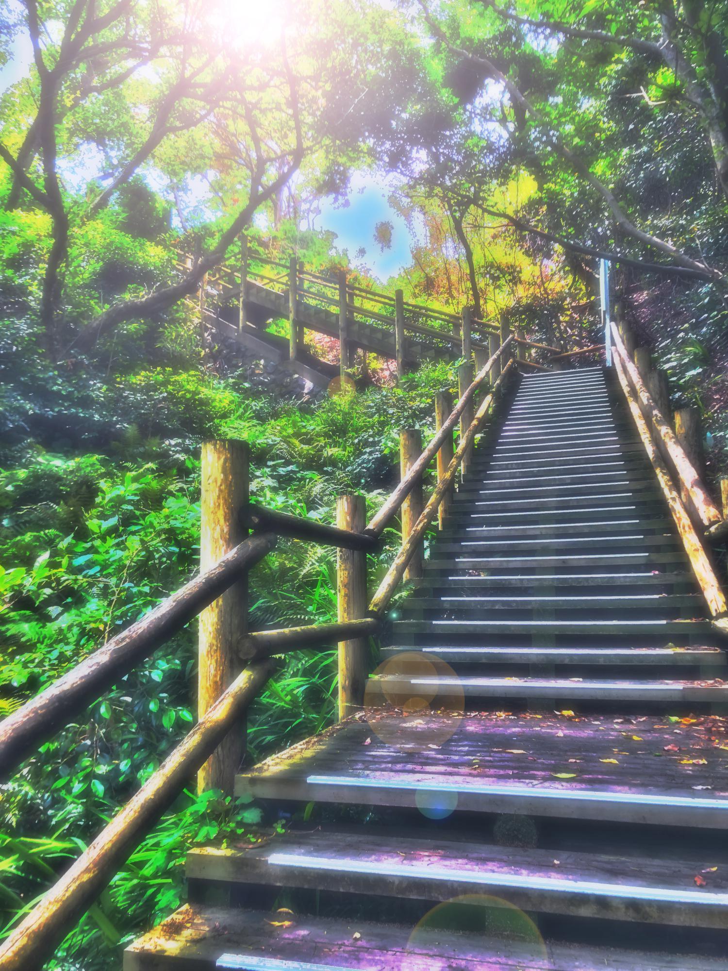 海岸步道