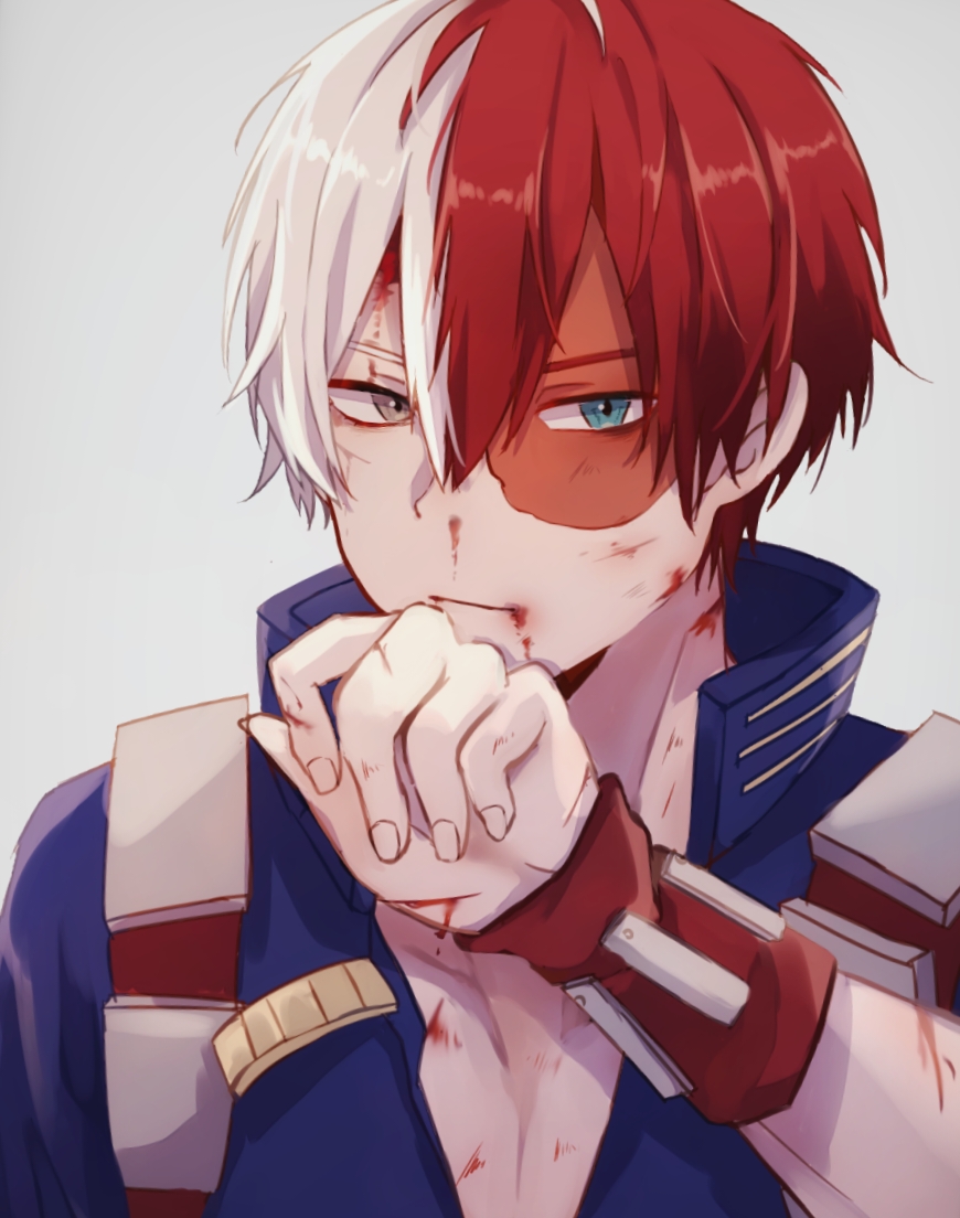 轟焦凍插画图片壁纸