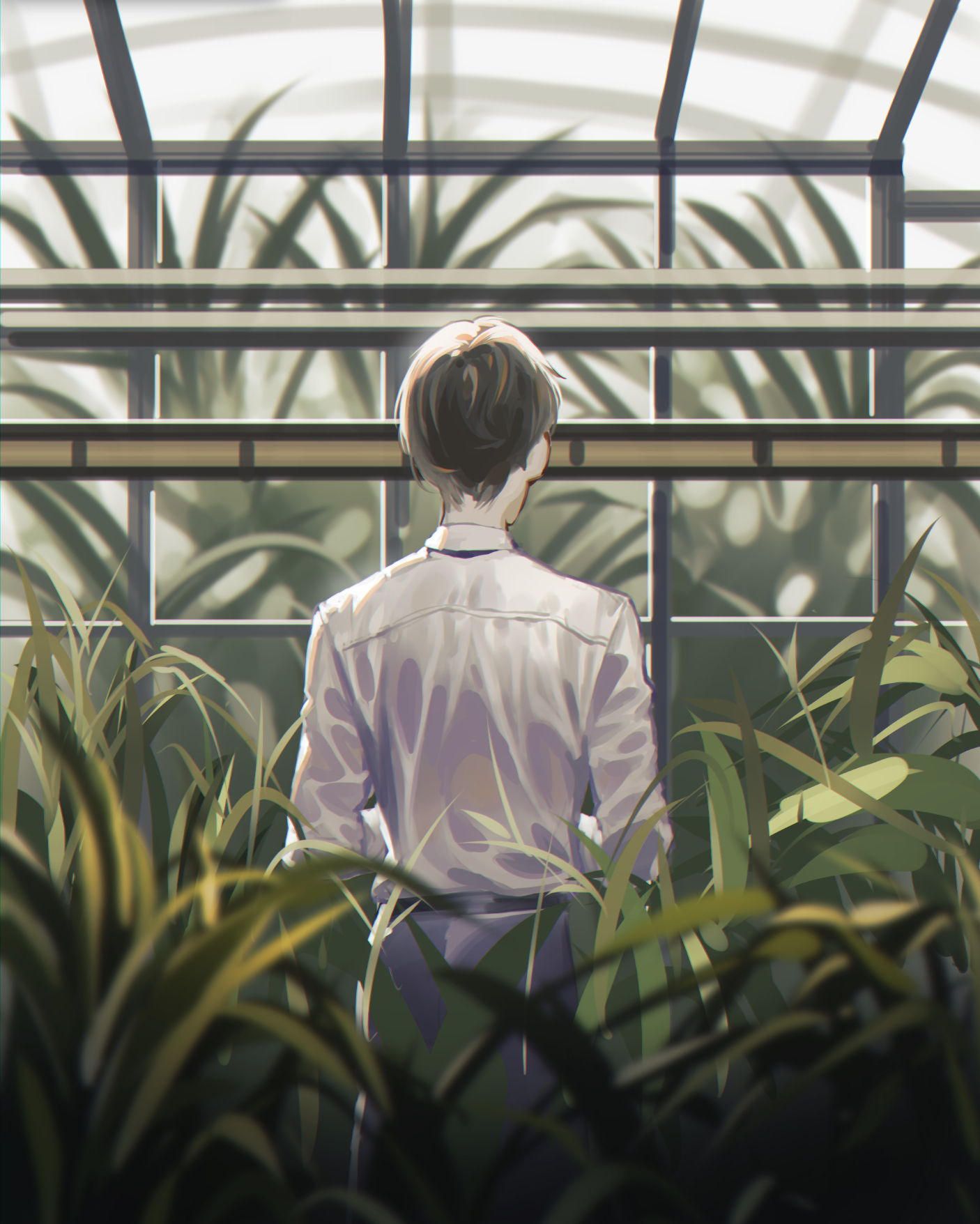 Greenhouse插画图片壁纸