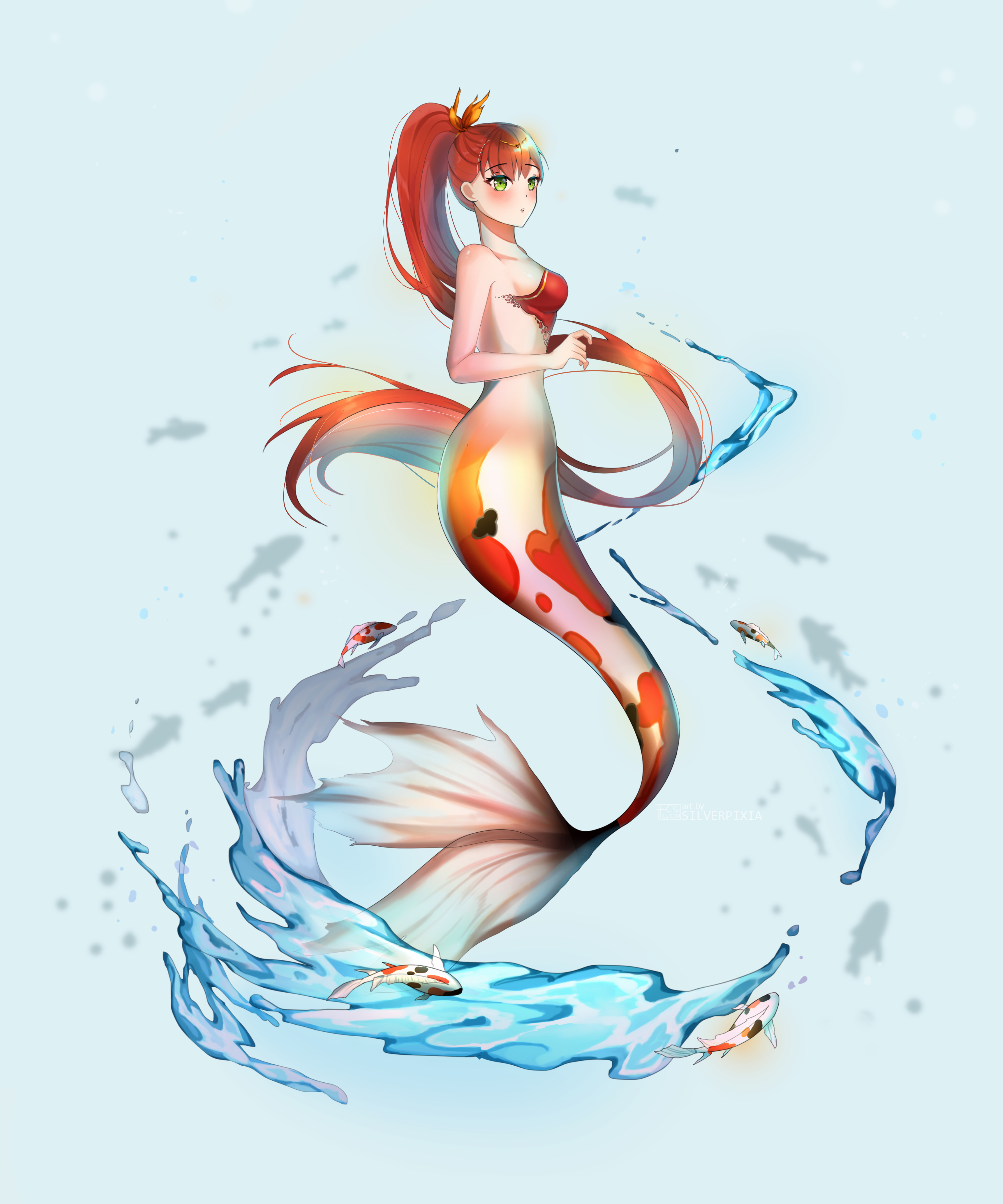 Koi Mermaid插画图片壁纸