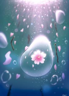 【春】水中的樱花插画图片壁纸