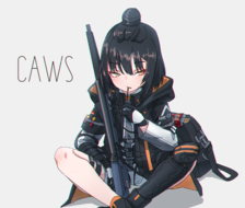 CAWS-少女前线CAWS