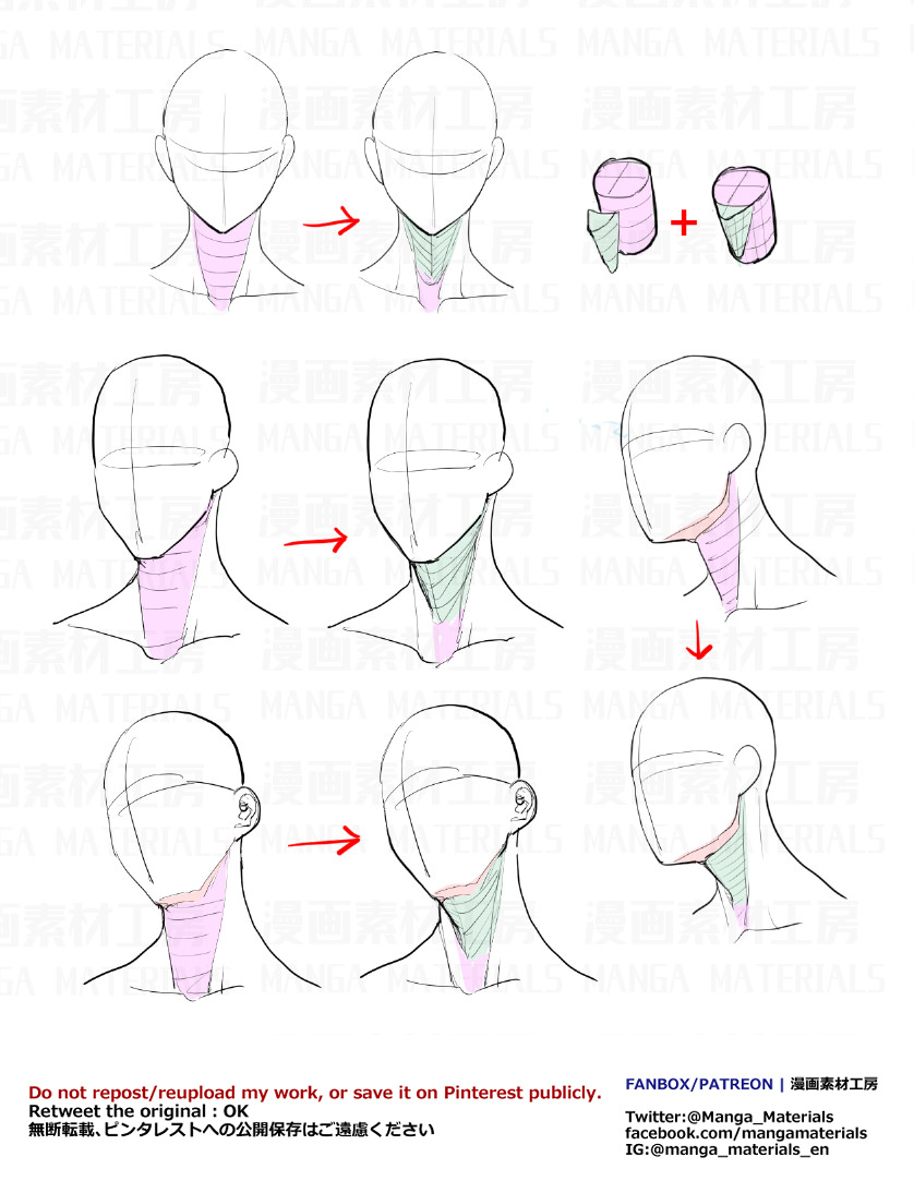 个人笔记：气管和气管的位置插画图片壁纸