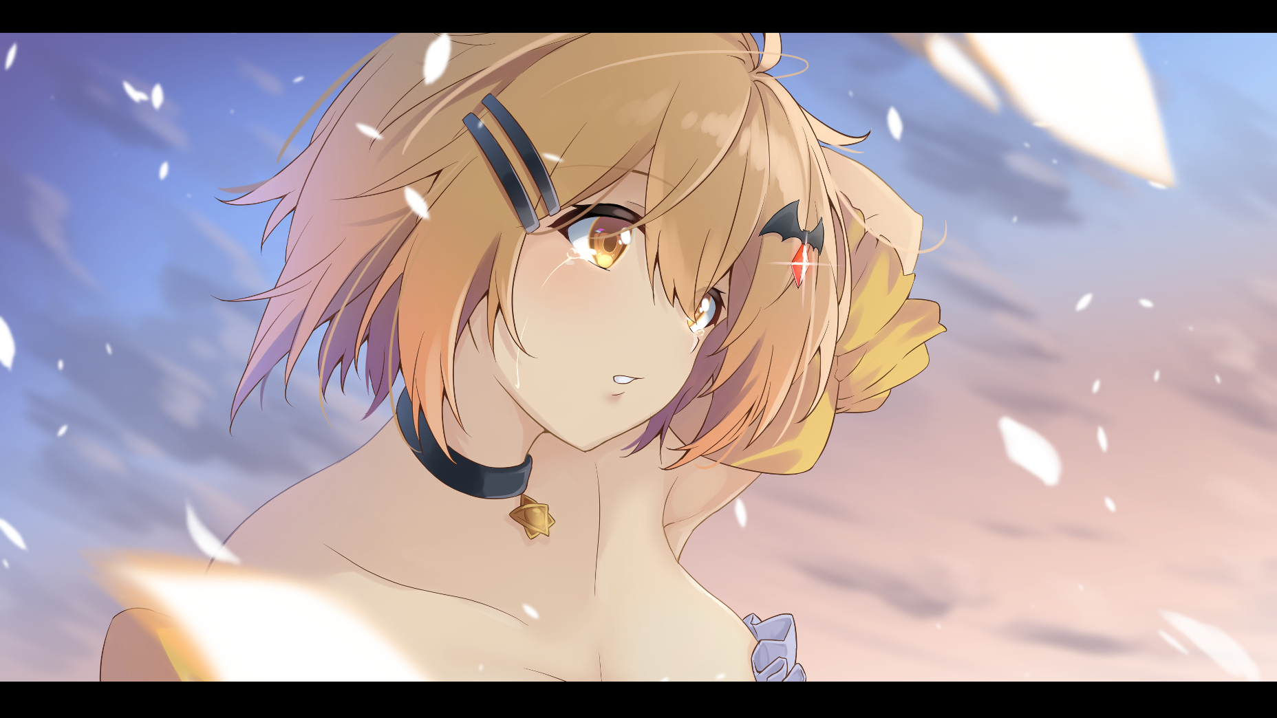 夜空梅露图片大全