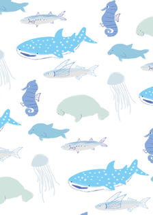 海洋生物插画图片壁纸