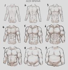 body study插画图片壁纸