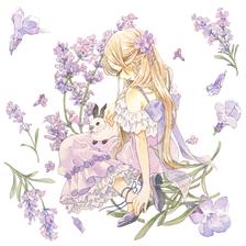lavender插画图片壁纸