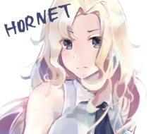 Hornet-ホーネット(艦隊これくしょん)舰队collection