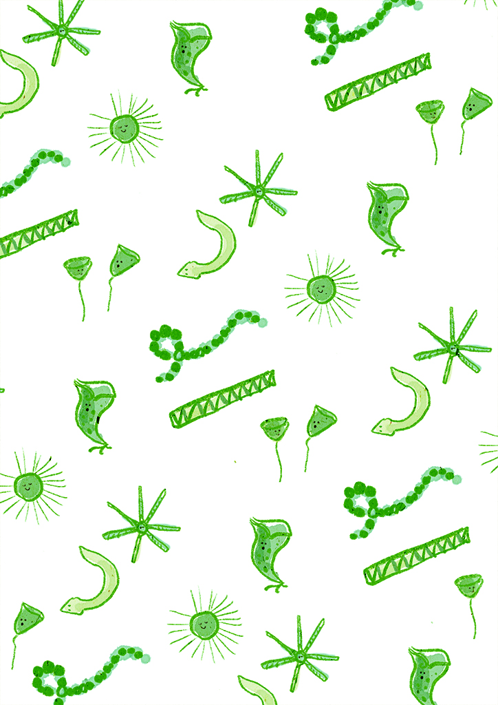 微生物-ネンジュモ竖图